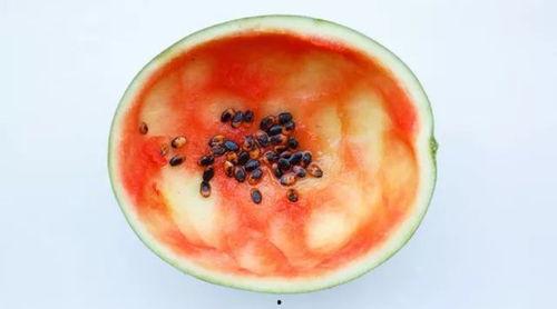 能用勺子吃的瓜,探索适合勺子品尝的瓜类美食