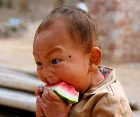 加油吃瓜少年,青春校园的甜蜜成长记