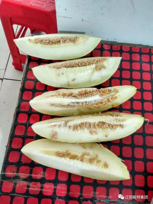 吃瓜qq区,一场全民参与的虚拟狂欢盛宴