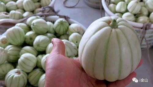 济宁冠亚吃瓜,揭秘吃瓜群众的狂欢盛宴