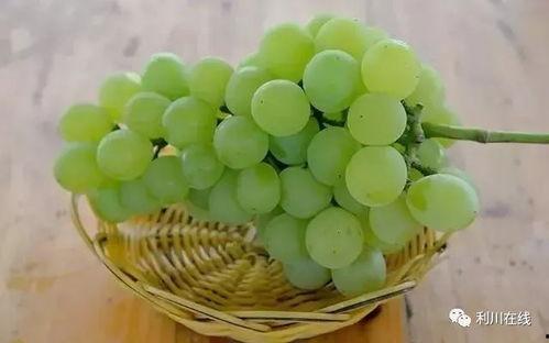 利川如初吃瓜,揭秘吃瓜群众的狂欢盛宴