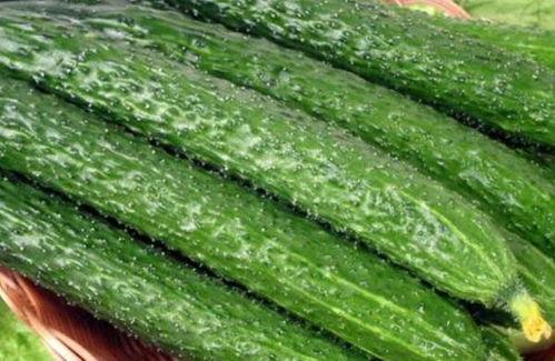 冻的瓜可以吃吗,冻的瓜也能安全食用