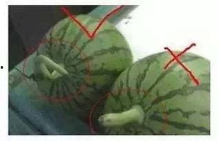 吃瓜有声音图片,揭秘网络热议背后的真相