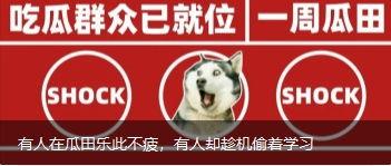 乐此不疲吃瓜中