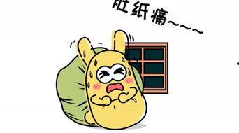 吃瓜群众的计划,一场全民参与的娱乐盛宴