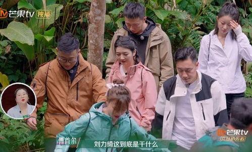 吃瓜狂野,揭秘娱乐圈背后的疯狂故事