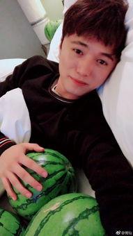 吃瓜博主吃货主播,吃瓜博主与吃货主播的美食之旅