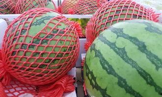 吃瓜发烧,揭秘娱乐圈幕后真相