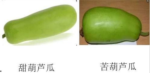 吃瓜怎么发,吃瓜群众如何演变成为社会现象