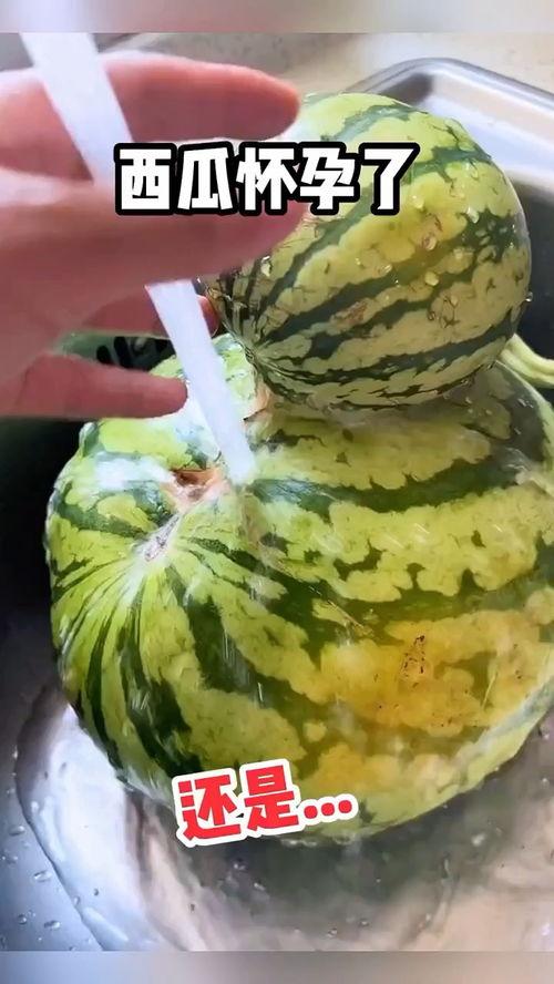 吃瓜视频超搞笑,笑料横飞！吃瓜视频带你领略超搞笑瞬间