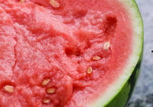 杭州吃瓜的视频,一网打尽本地美食风情