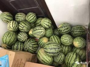 年费吃瓜群,揭秘娱乐圈幕后风云的神秘之地