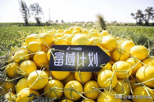 李丽欣抖音吃瓜,揭秘娱乐圈幕后故事