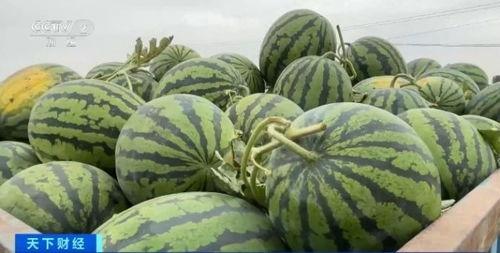 李口菜市吃瓜,夏日消暑好去处