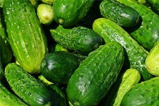 梦见吃脏瓜,揭秘“吃脏瓜”背后的心理寓意