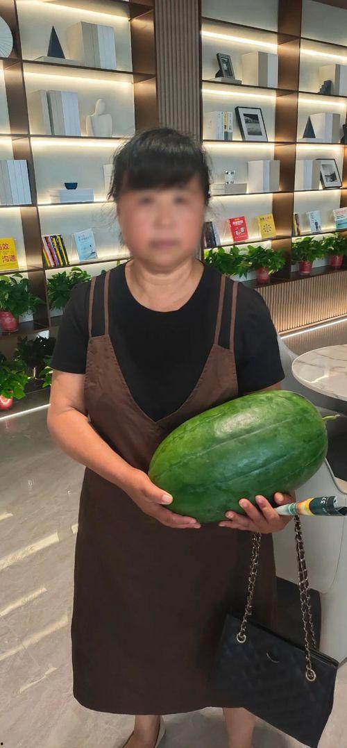 今日大瓜155吃瓜朝阳,155吃瓜朝阳，揭秘娱乐圈幕后风云