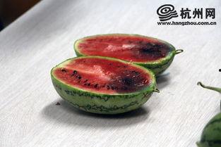 螺蛳会吃瓜吗,揭秘它们对瓜果的偏好之谜