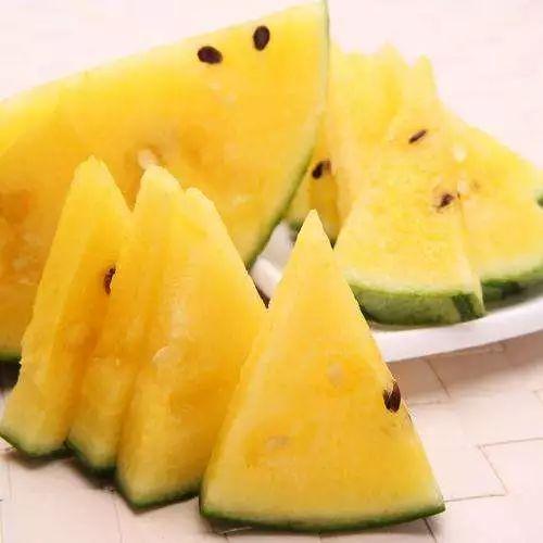 吃瓜网黑科大,吃瓜网上的校园风云录