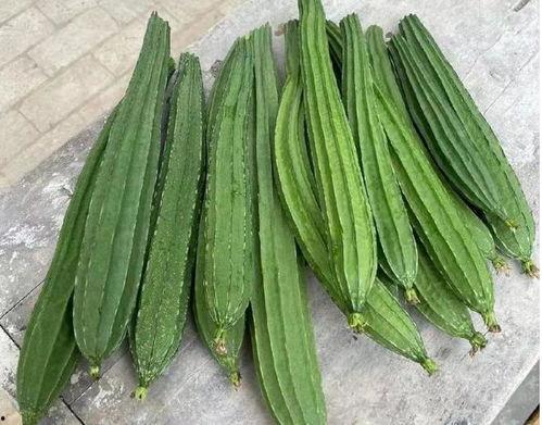 绿色瓜能怎么吃,探索健康美味的新选择