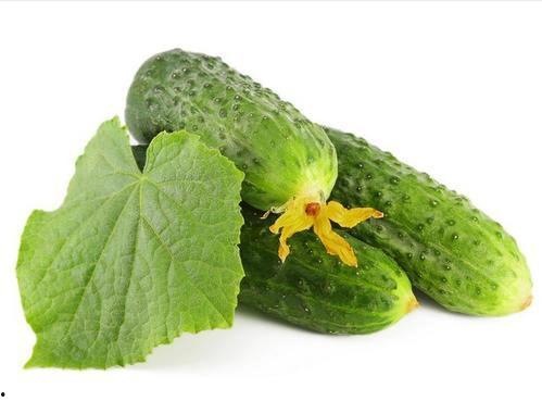 绿色瓜能怎么吃,探索健康美味的新选择