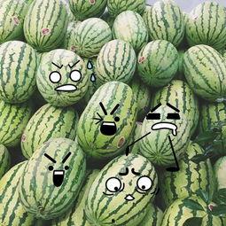 吃瓜成果,吃瓜群众眼中的明星幕后故事