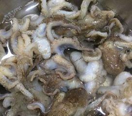 小章鱼吃瓜,一场奇妙的海洋美食之旅