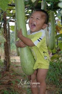 浙江摄影比赛吃瓜,浙江摄影大赛捕捉夏日吃瓜瞬间