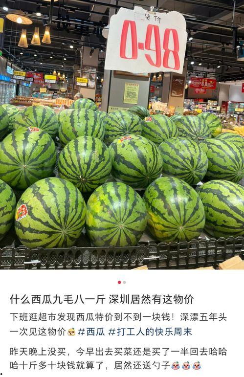 东莞南城吃瓜事件,一场网络热议背后的真相揭秘