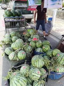 东莞南城吃瓜事件,一场网络热议背后的真相揭秘