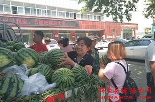 于都疫情吃瓜群众,吃瓜群众视角下的实时动态与热议