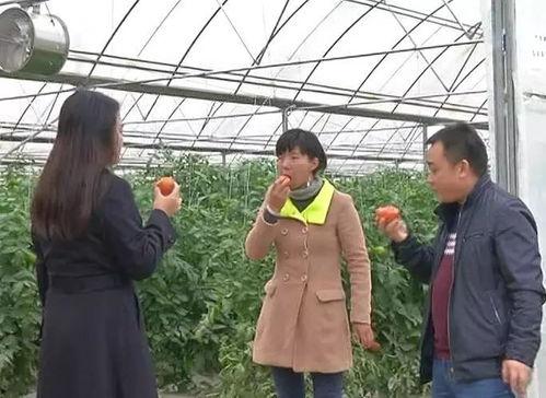 于都疫情吃瓜群众,吃瓜群众视角下的实时动态与热议