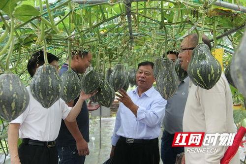 固始最近的吃瓜事件,真相竟如此反转！