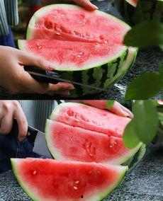 杭州吃瓜一线,揭秘网红美食背后的故事