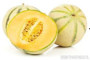 怀孕初期可以吃田瓜,田瓜助力营养补充，呵护母婴健康