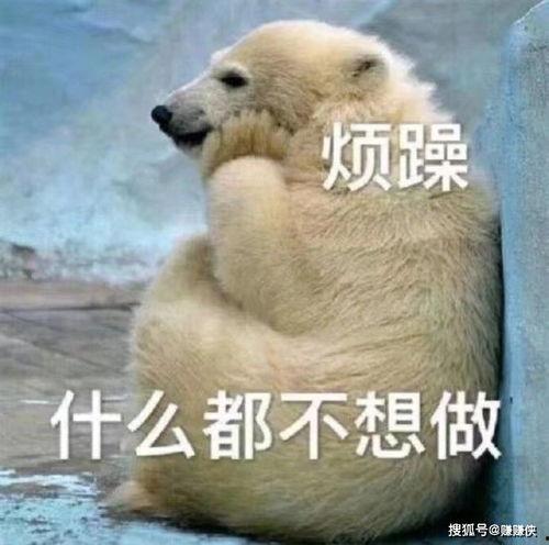 笑脸吃瓜表情图吃狗头,趣味表情图背后的故事