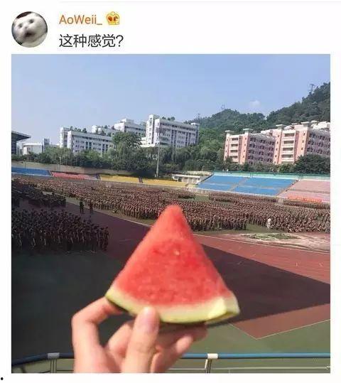 最惨吃瓜学长,揭秘校园风云背后的辛酸故事