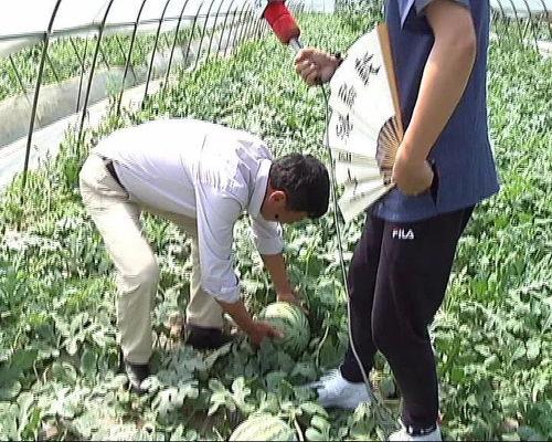 吃瓜每日动态,娱乐圈风云变幻，热点追踪不停歇