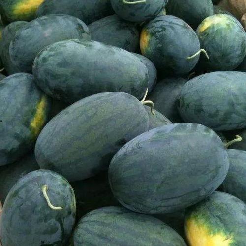 seaur吃瓜,网络热议背后的真相与反思