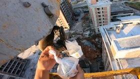 塔吊女司机吃瓜