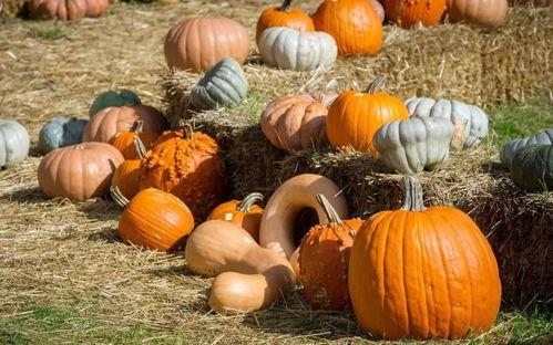 冲赛康吃瓜,揭秘娱乐圈背后的那些事儿