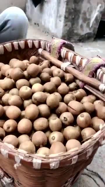 带你吃瓜野生驱蚊人,带你探索自然驱蚊的奥秘