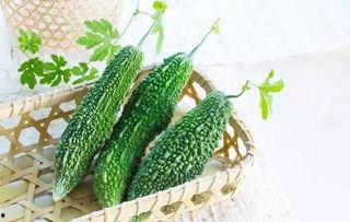 2025儋州吃瓜,瓜果飘香，品味夏日盛宴