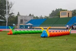 操场看台吃瓜,见证校园风云，共享瓜果时光