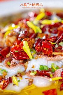 吃瓜鱼乐圈,揭秘娱乐圈背后的趣味故事