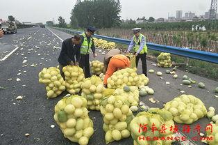 河南县城吃瓜,夏日消暑新风尚