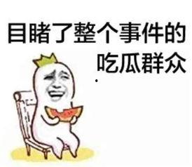 吃瓜阿豆,揭秘娱乐圈背后的那些事儿