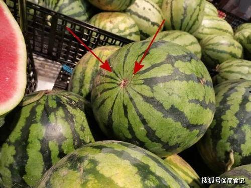 物手瓜可以怎么吃,探索美味与健康的完美结合