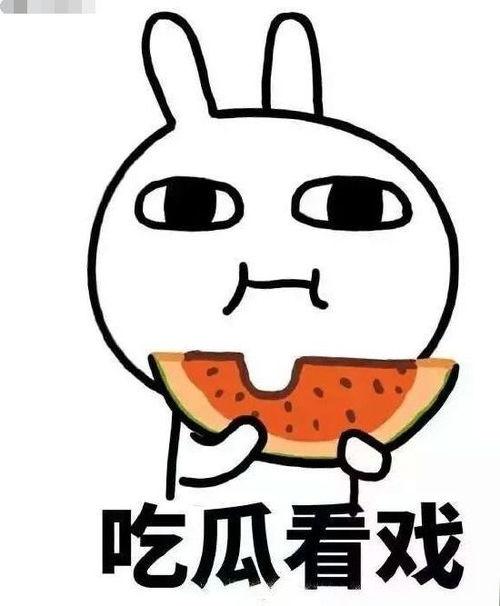 吃瓜了吗外卖,一站式美食配送，尽享舌尖盛宴