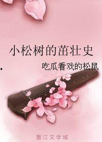 吃瓜看戏的松树,一场别开生面的夏日盛宴