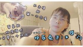 刘小怂吃瓜,揭秘娱乐圈幕后真相  第2张